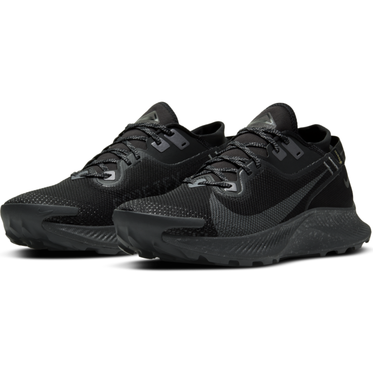 nike running pegasus trail 2 gore tex trainers in grey