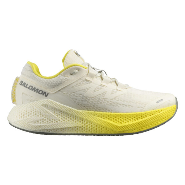 Salomon Men's Aero Glide 3 - Vanilla Ice/Blazing Yellow/Sedona Sage