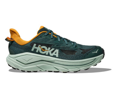 Hoka Men's Challenger 8 - Bay Leaf/Sage